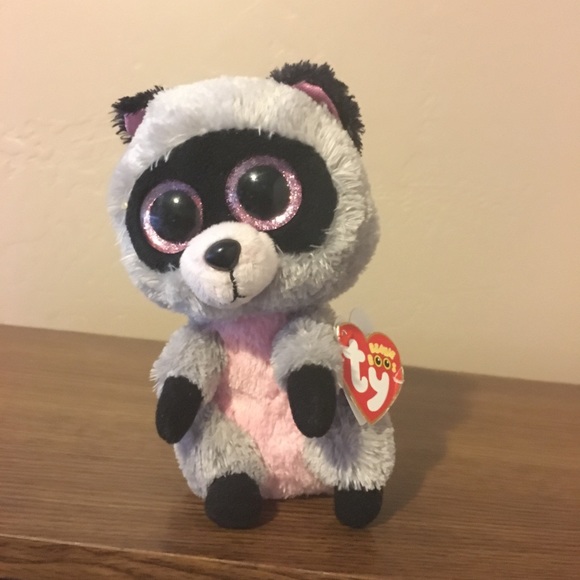 beanie boo racoon